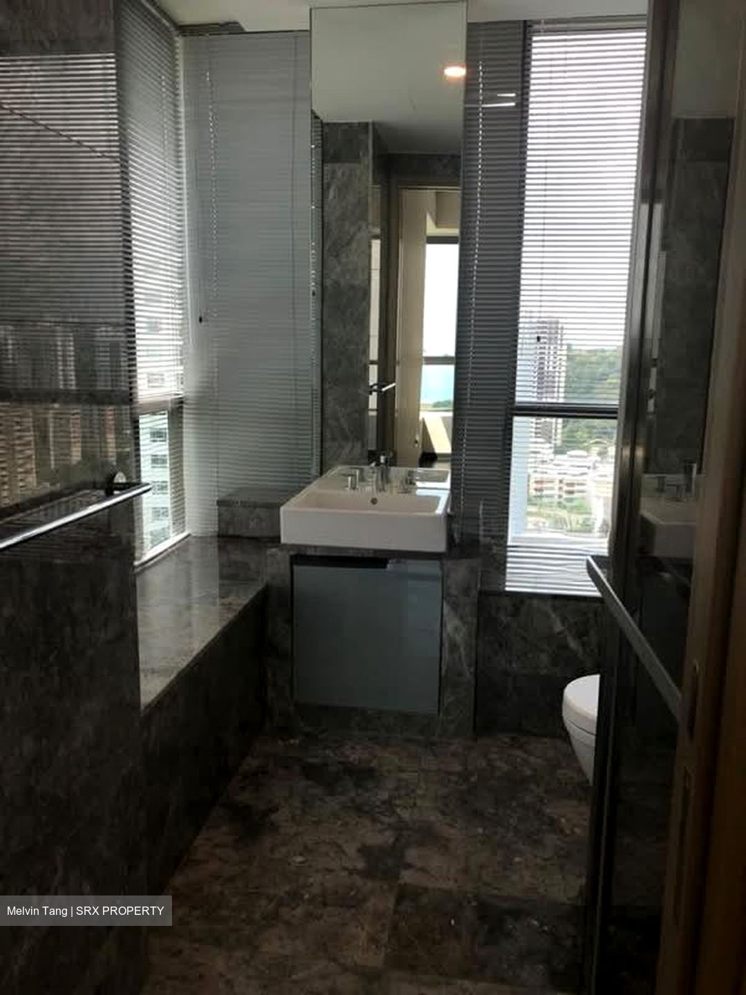 Skyline Residences (D4), Condominium #584969771